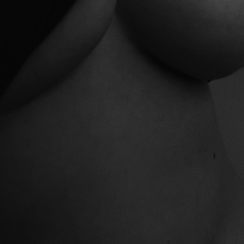 Header of lilrosexoxox