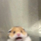 Download lilskies OnlyFans leaks for free 

 profile picture