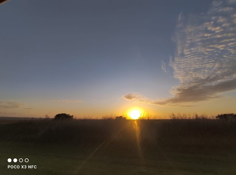 Header of littlebabyuwu