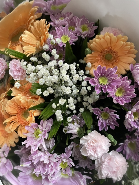 Header of littlee-missy