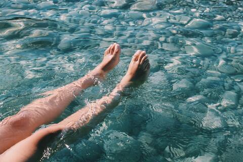 Header of littlemissswan