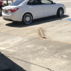 longblack OnlyFans Leaked Photos and Videos 

 profile picture