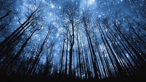 Header of louuulouuu