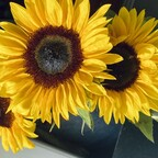 lozjones OnlyFans Leak 

 profile picture