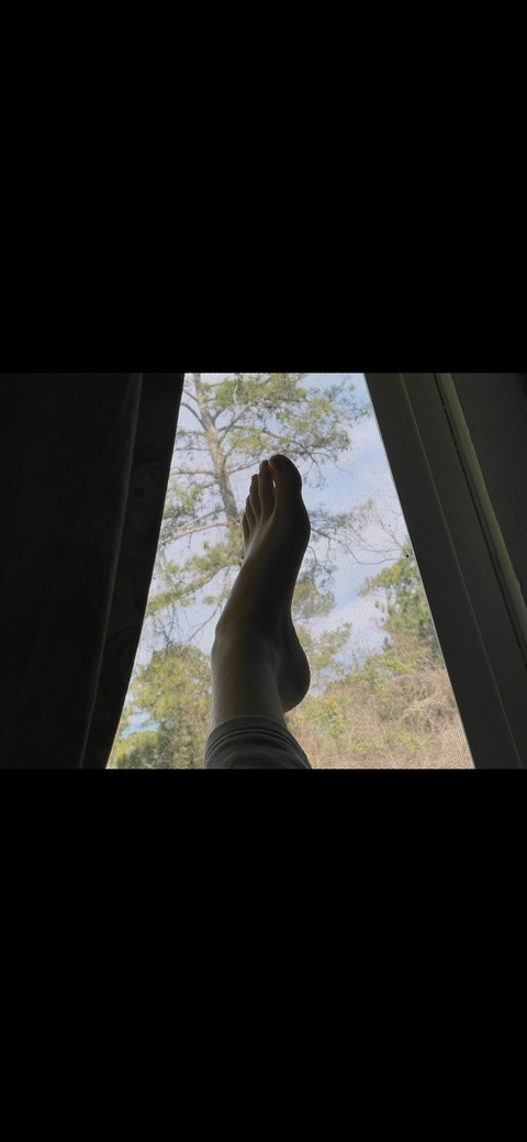 Header of lydia.hill