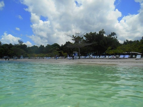 Header of lyssa.lynn