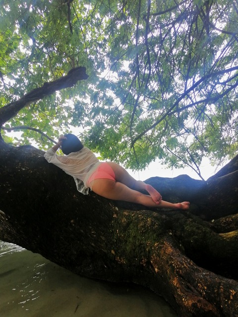 Header of malefik.507