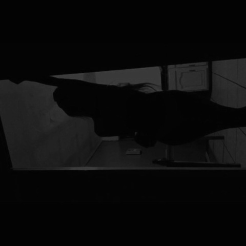 Header of mar.012006