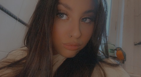 Header of megmeltonx