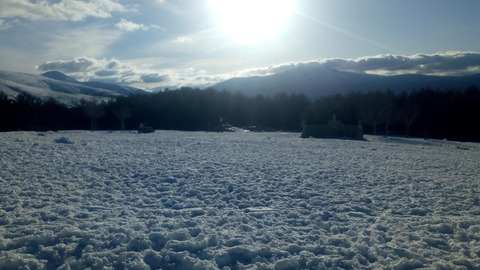 Header of melissa_col