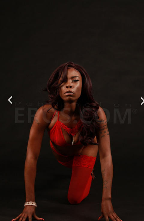 Header of memphismonroe