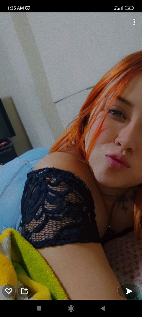 Header of miaflores