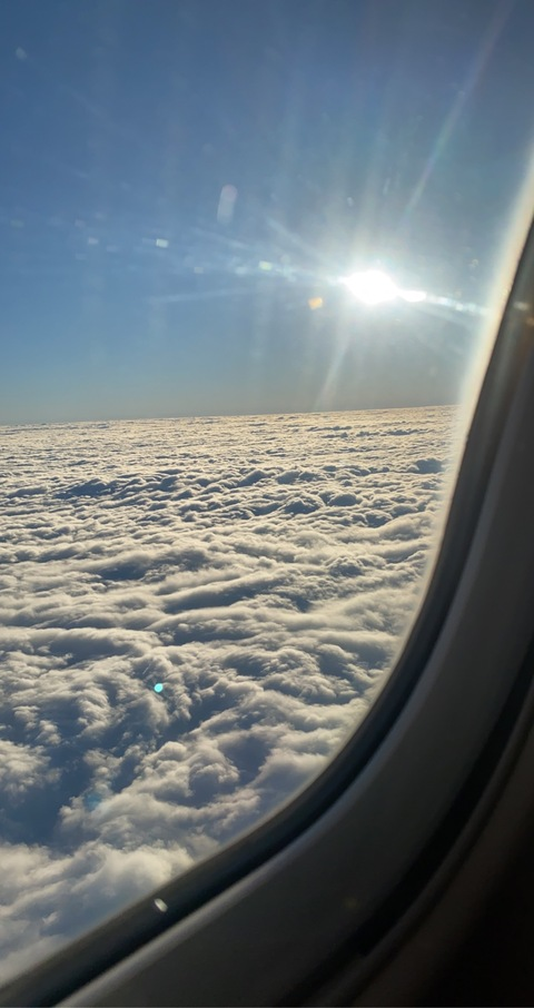 Header of milkmarieeeeeeeeee