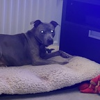 Free access to misscc Leaks OnlyFans 

 profile picture