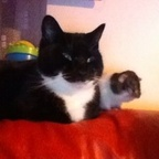 missyk (Kerry 35) OnlyFans Leaked Videos and Pictures 

 profile picture