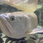 Download musclex74 OnlyFans videos and photos for free 

 profile picture