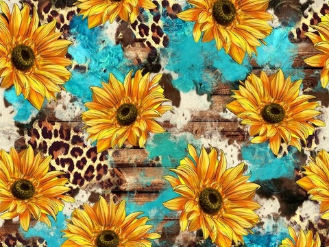 Header of napqueen6512