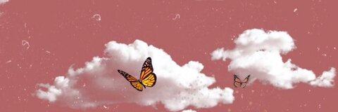 Header of nycolleyshon