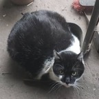 Only Hans Posting @only-hans Leaked OnlyFans 

 profile picture