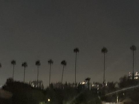 Header of peachdazee