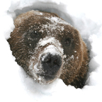 Onlyfans leaked periscope 

 profile picture