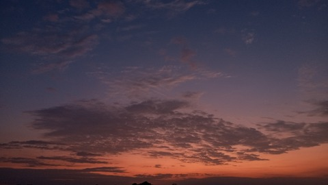 Header of petitemar