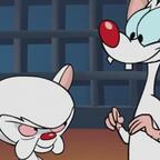 pinkyxx OnlyFans Leaked Photos and Videos 

 profile picture