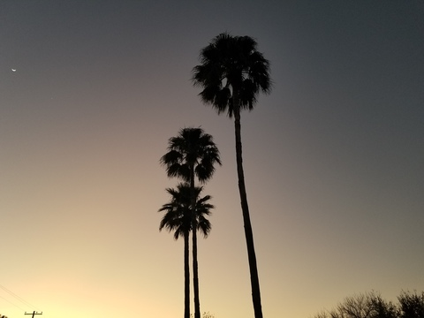 Header of princesbaby