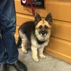 queenkairi (QueenKylie) OnlyFans Leaked Videos and Pictures 

 profile picture