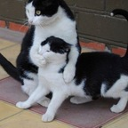 Download querencia OnlyFans videos and photos for free 

 profile picture