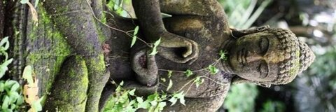 Header of rabitstyle