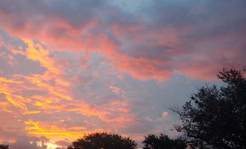 Header of raintree03