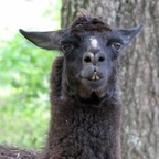 Onlyfans leak redacted 

 profile picture