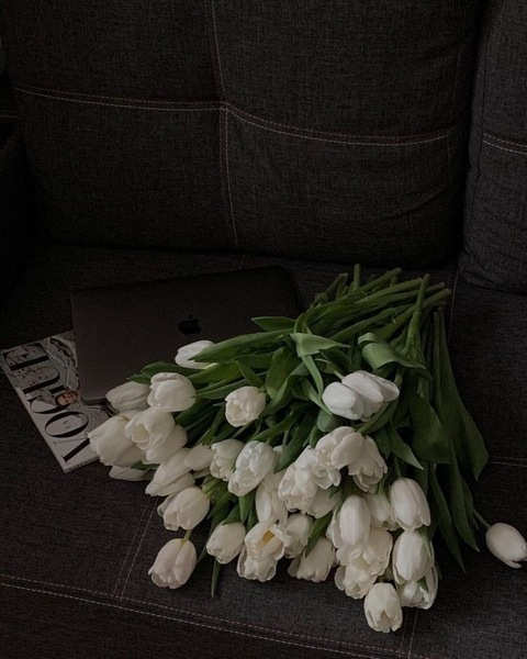 Header of rthshrn