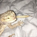 saintz (saint !) OnlyFans Leaked Videos and Pictures 

 profile picture