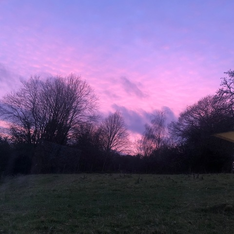 Header of saoirsebaby