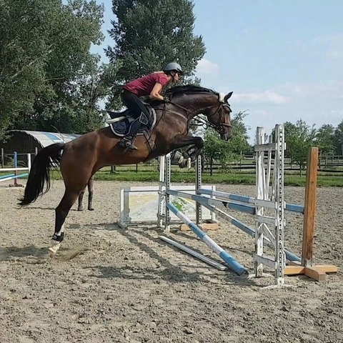 Header of sarah.parker