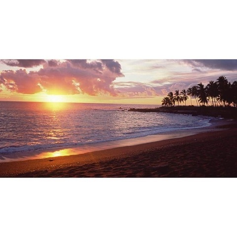 Header of savvy_feet