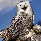 It's Shelby, Betch! @shelbitch Leaks OnlyFans 

 profile picture