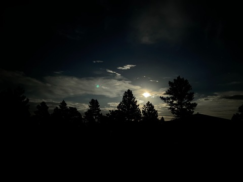 Header of sira.belle