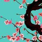 skonk OnlyFans Leaks 

 profile picture