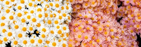 Header of slutpuppy45