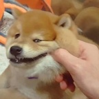 Download specialgiftz OnlyFans leaks for free 

 profile picture