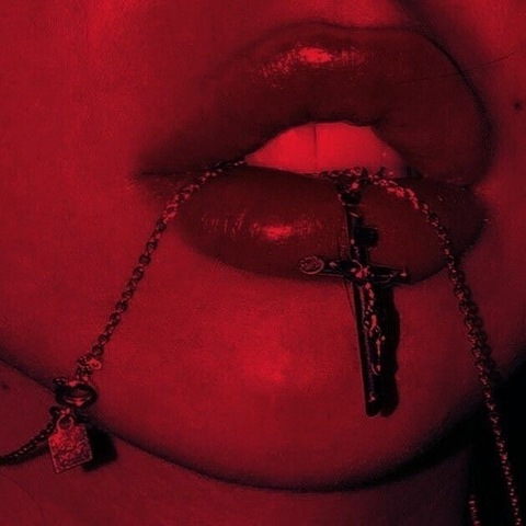 Header of stripperpoppy