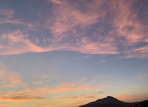 Header of sugarpuffhoney