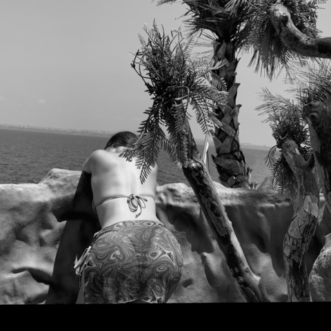 Header of sunbae.mer