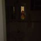 Onlyfans leaks sweetpeachhh 

 profile picture