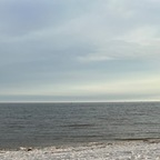 thebighairybear (The Big Bear) free OnlyFans Leaked Content 

 profile picture