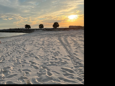 Header of thebighairybear