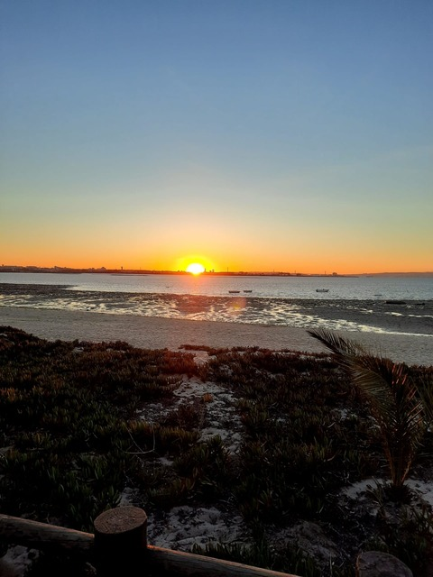 Header of thewhitehut